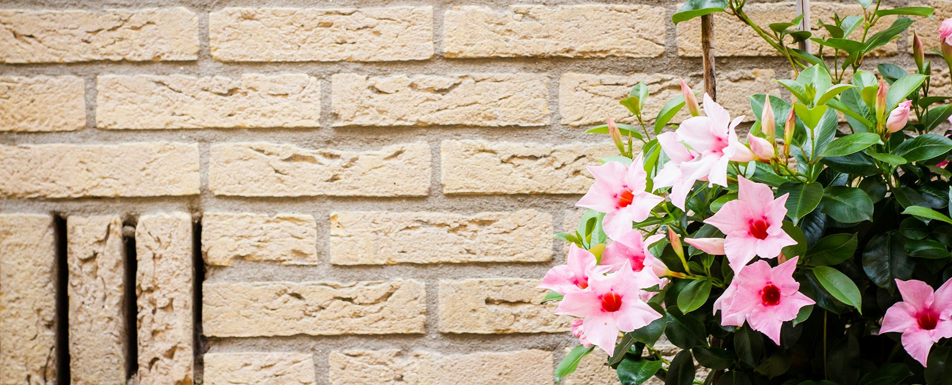 Pointing Techniques in Brickwork